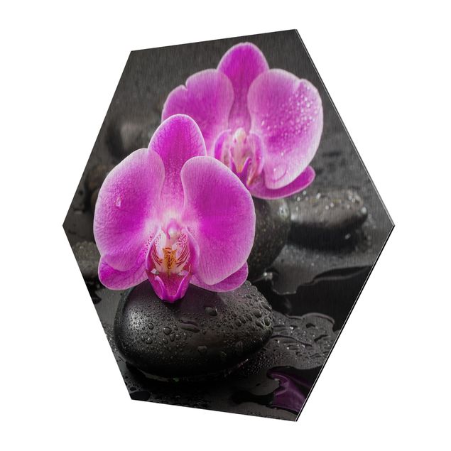 Uwe Merkel Pink Orchid Flower On Stones With Drops