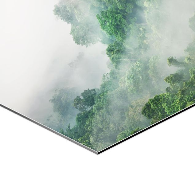 Modern art prints Jungle In The Fog