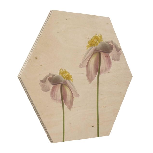 Wood photo prints Pink Anemone Blossoms