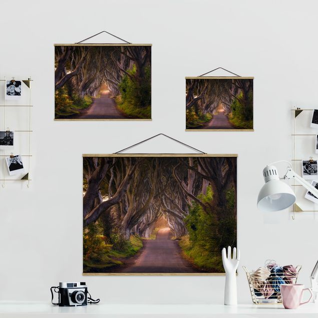 Nature wall art Tunnel Of Trees