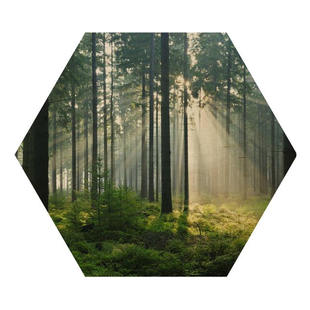 Wooden hexagon - Enlightened Forest