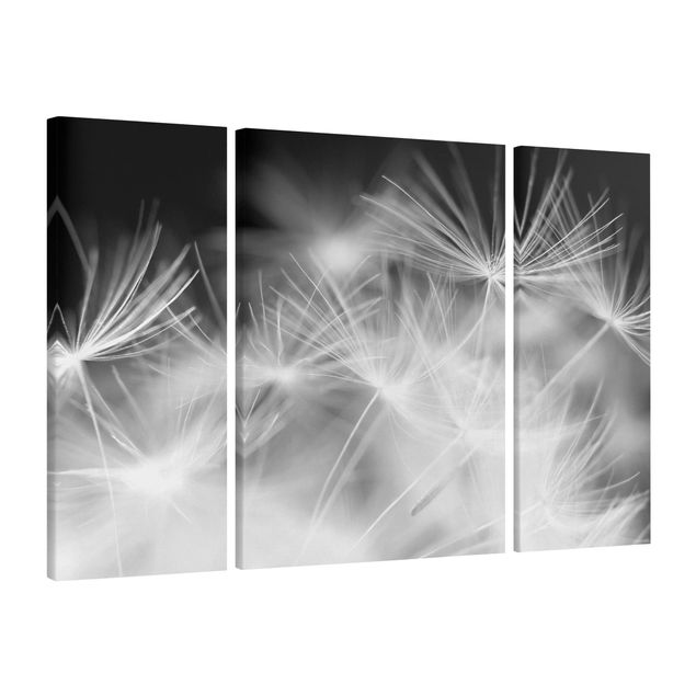 Wall art black and white Moving Dandelions Close Up On Black Background