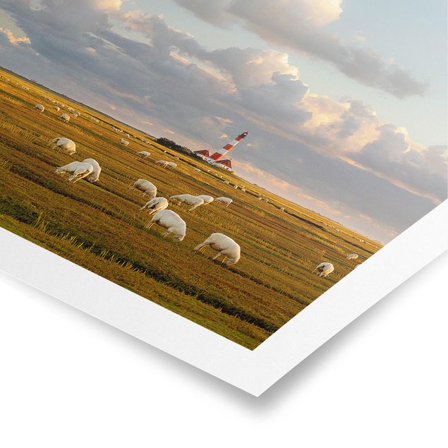 Prints modern North Sea Lighthouse With Flock Of Sheep