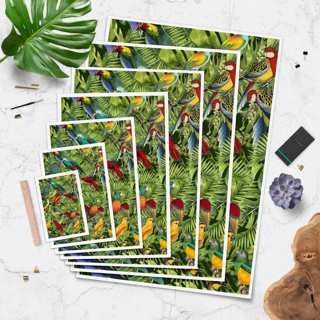 Prints Colourful Collage - Parrots In The Jungle