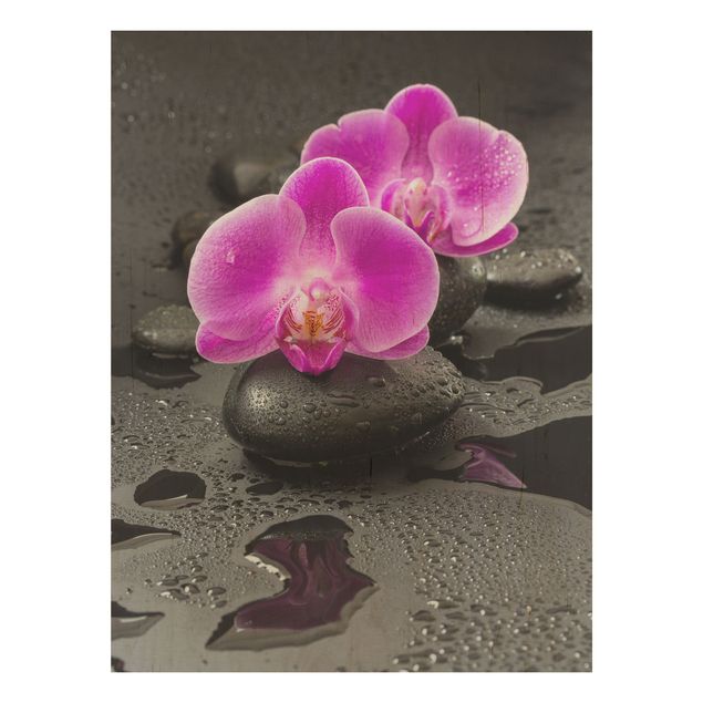 Wood prints flower Pink Orchid Flower On Stones With Drops