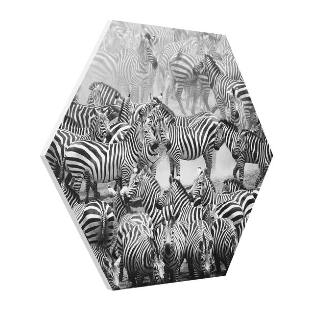 Contemporary art prints Zebra herd II