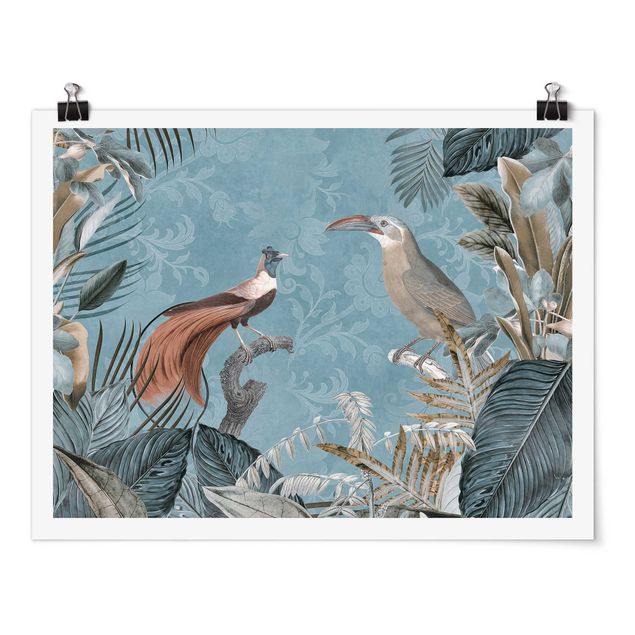 Vintage posters Vintage Collage - Birds Of Paradise