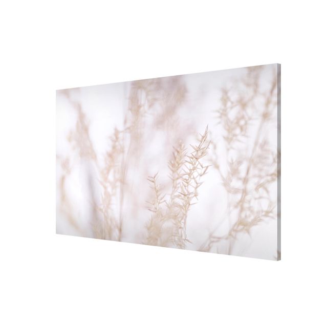 Floral canvas Delicate Meadow Grass Close up