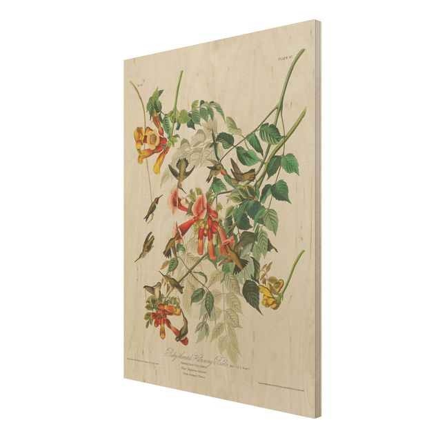 Wood prints vintage Vintage Board Hummingbirds