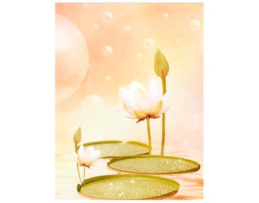 Window stickers flower Magical Water Lilies