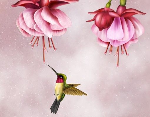 Adhesive films Hummingbird