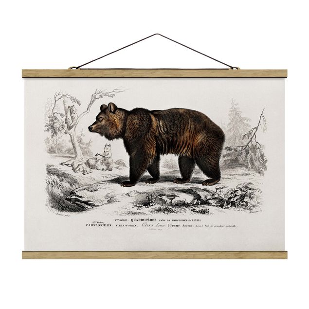 Animal canvas Vintage Board Brown Bear