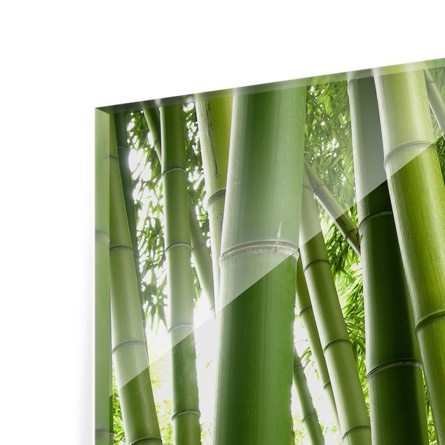 Glass Splashback - Bamboo Trees - Landscape 2:3