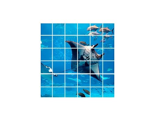 Tile stickers Manta Ray
