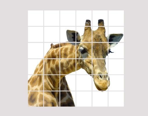 Film adhesive Curious Giraffe