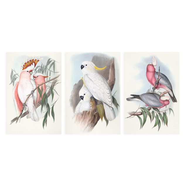 Retro prints Pastel Parrots Set I
