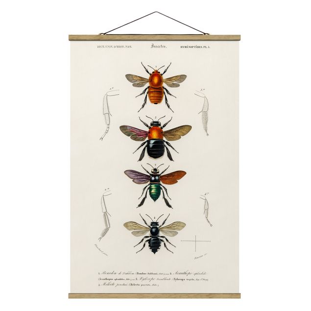 Retro prints Vintage Board Insects