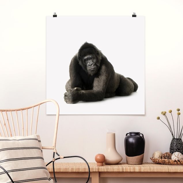 Prints monkey Lying Down Gorilla ll