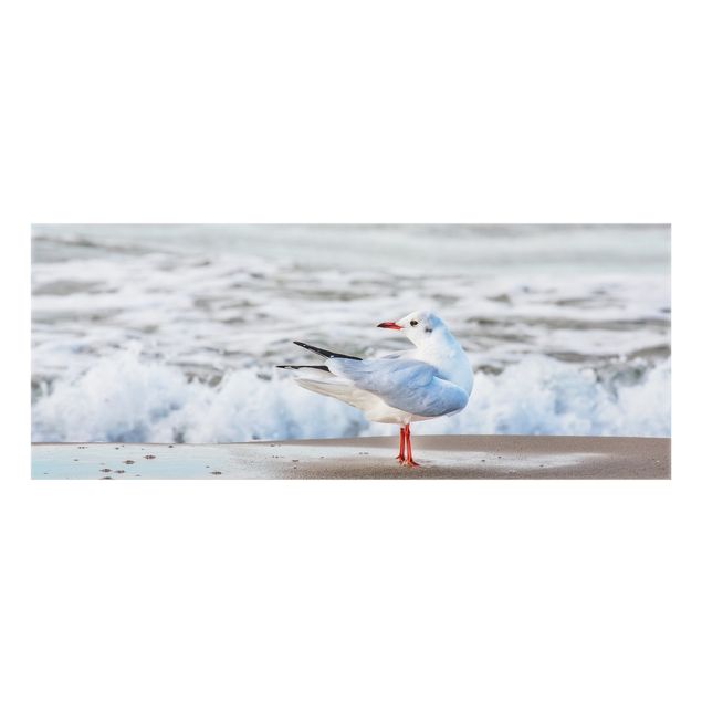 Glass splashback beach Seagull On The Beach In Front Of The Sea