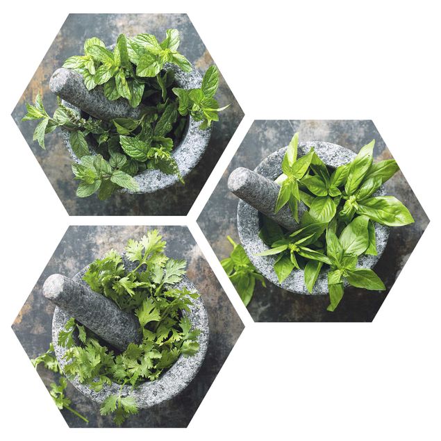 Forex prints Basil Mint Parsley In A Mortar