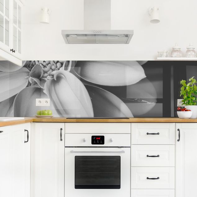 Splashback black and white In The Heart Of A Dahlia Black And White