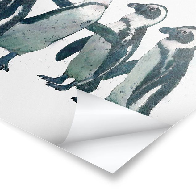 Prints Illustration Penguins Black And White Watercolour