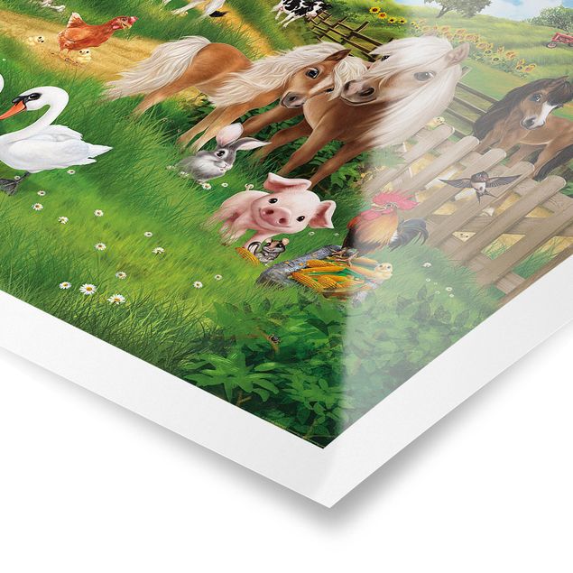 Prints multicoloured Animal Club International - Farm Animals