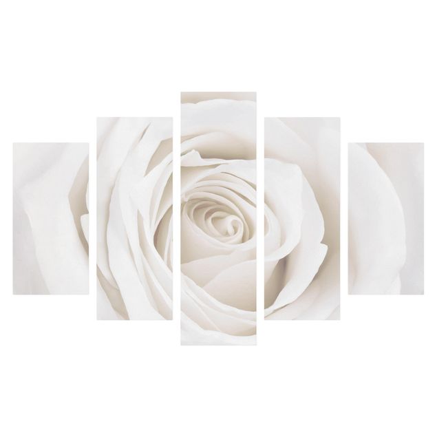 Floral canvas Pretty White Rose
