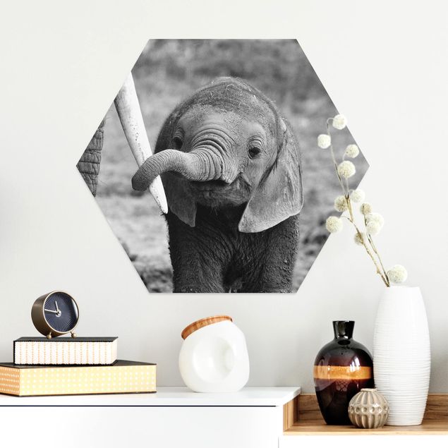 Kitchen Baby Elephant