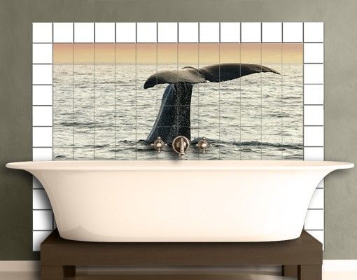 Kitchen Diving Whale