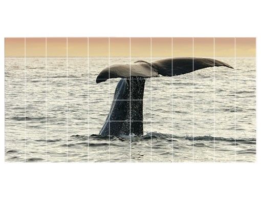 Film adhesive Diving Whale