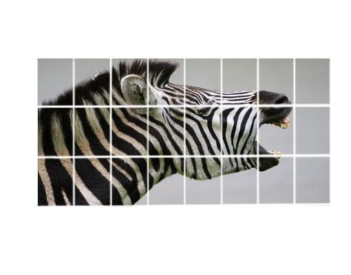 Film adhesive Roaring Zebra
