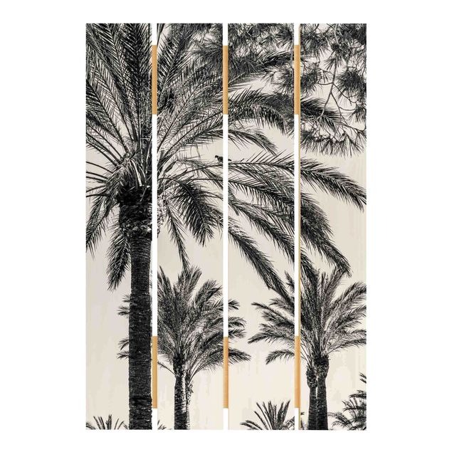 Uwe Merkel Palm Trees At Sunset Black And White