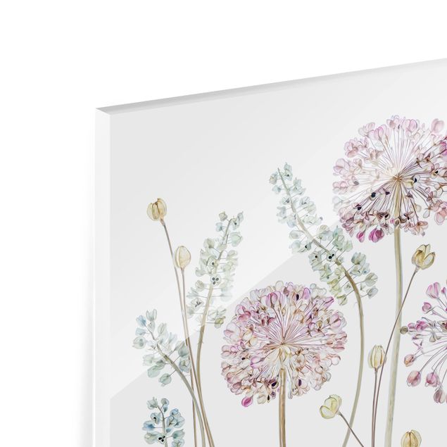 Glass Splashback - Allium Illustration - Landscape 1:2