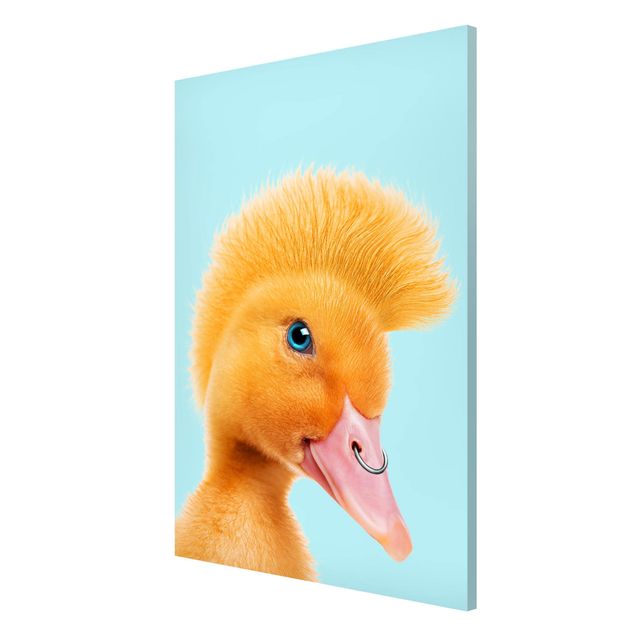 Magnet boards animals Chicks With Piercing