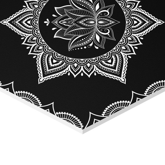 Black prints Lotus OM Illustration Set Black