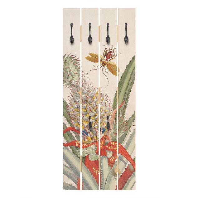 Coat rack vintage Anna Maria Sibylla Merian - Pineapple With Insects