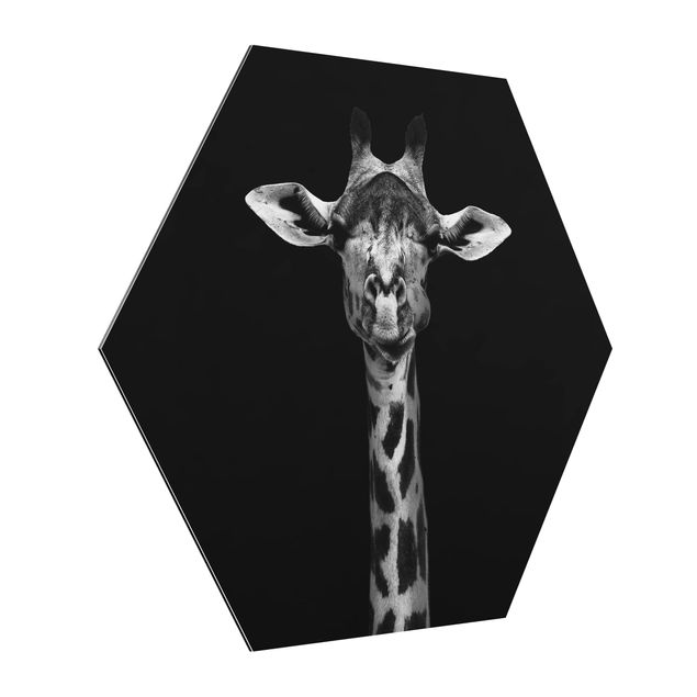 Modern art prints Dark Giraffe Portrait