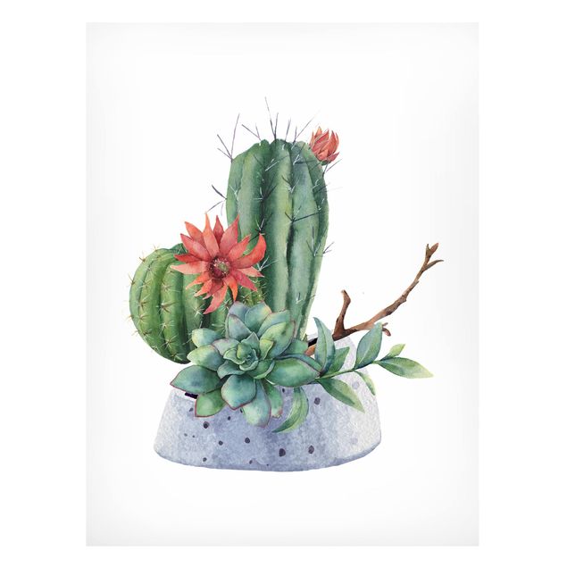 Magnet boards flower Watercolour Cacti Illustration