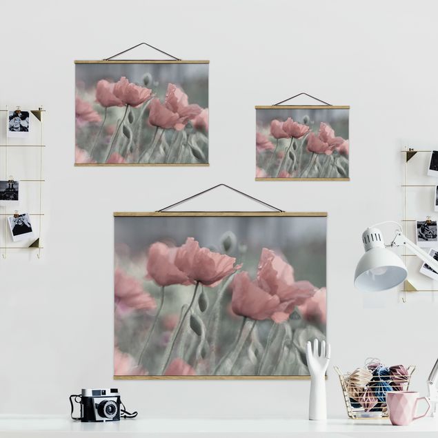 Prints pink Picturesque Poppy
