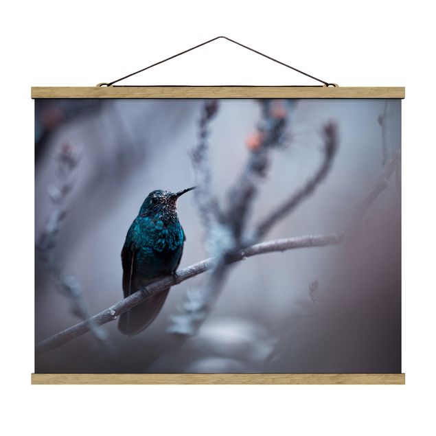 Feather poster Hummingbird In Winter