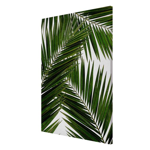 Magnet boards flower View Through Green Palm Leaves