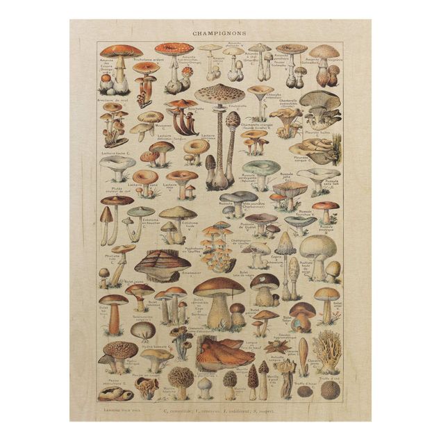 Wood prints flower Vintage Board Mushrooms