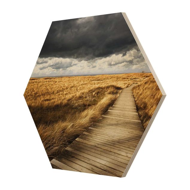 Wooden hexagon - Path Between Dunes