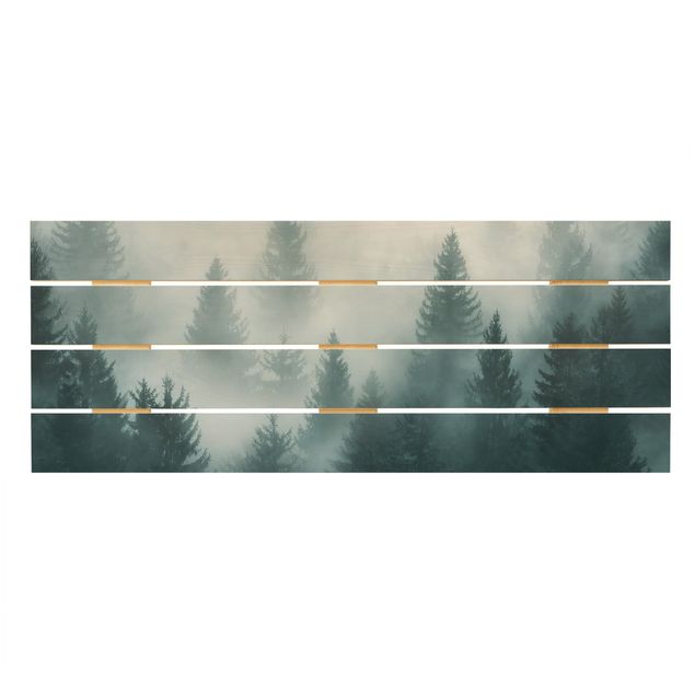 Wood prints Coniferous Forest In Fog