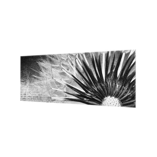 Glass Splashback - Dandelion Black & White - Panoramic