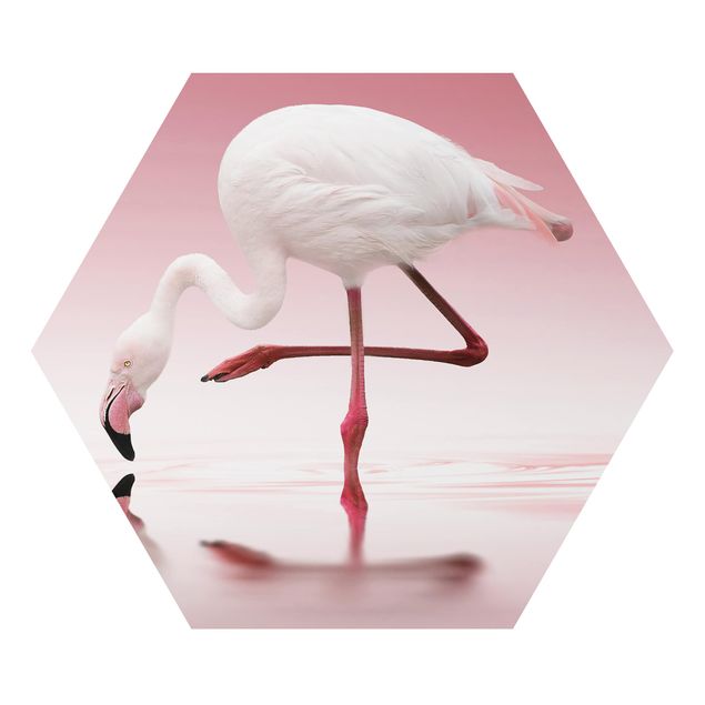 Prints pink Flamingo Dance