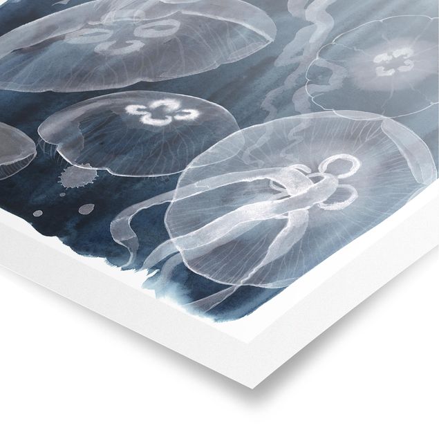 Prints blue Moon Jellyfish I