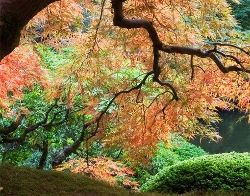 Film adhesive Japanese Garden