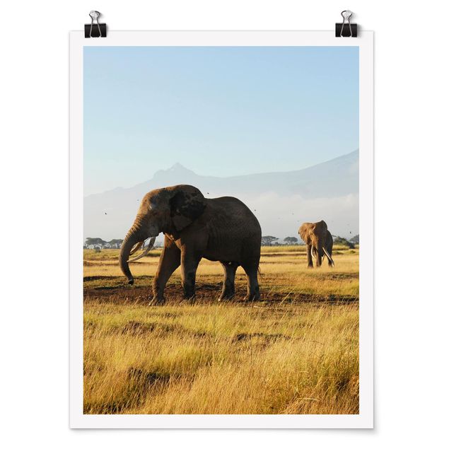 Mountain art prints Elephants In Front Of The Kilimanjaro In Kenya